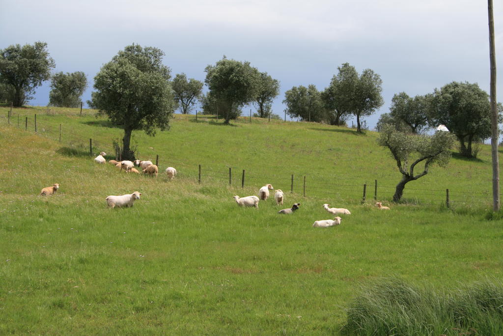 O Vale Da Mudanca Villa Monte da Pedra Alva Rom bilde