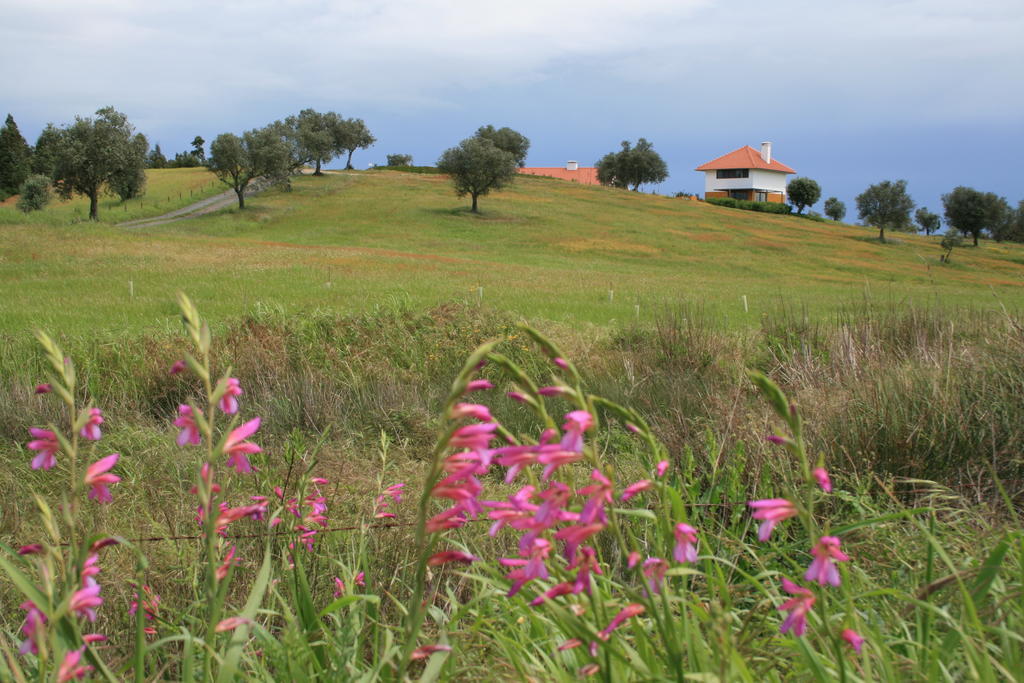 O Vale Da Mudanca Villa Monte da Pedra Alva Rom bilde